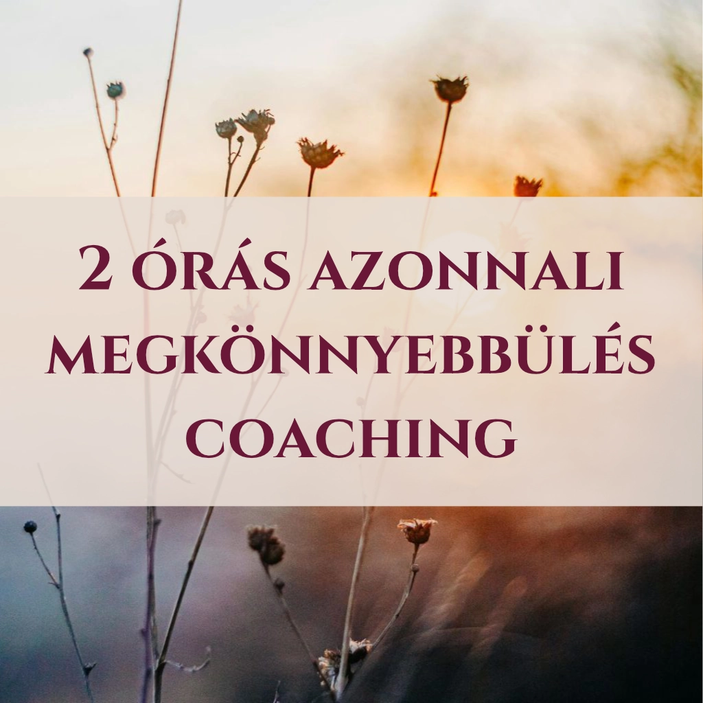 2 órás azonnali megkönnyebbülés coaching
